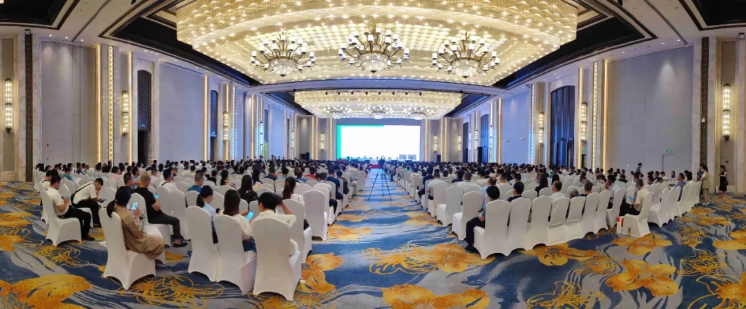 1626656591513619.jpg 1.webp.jpg